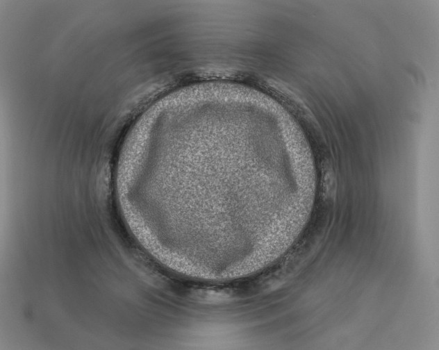 X0000113570498200910161521