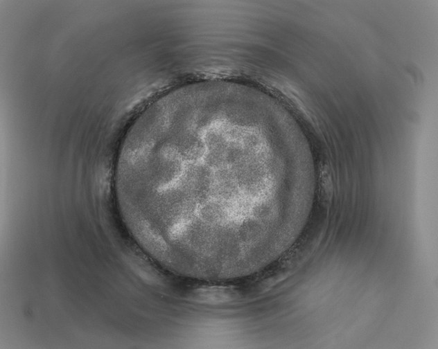 X0000113570499200910161521