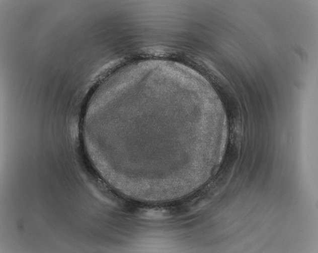 X0000113570500200910161521