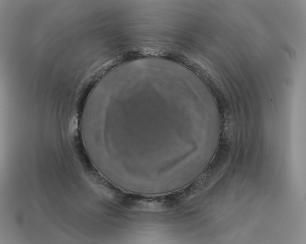 X0000113570502200910161521