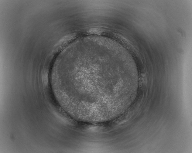 X0000113570504200910161521