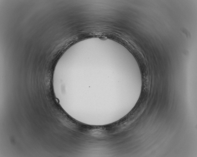 X0000113570505200910161521