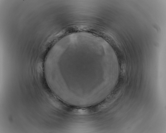 X0000113570506200910161521