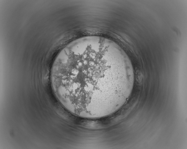 X0000113570507200910161521