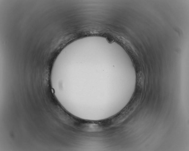 X0000113570509200910161521