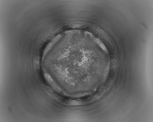 X0000113570510200910161521