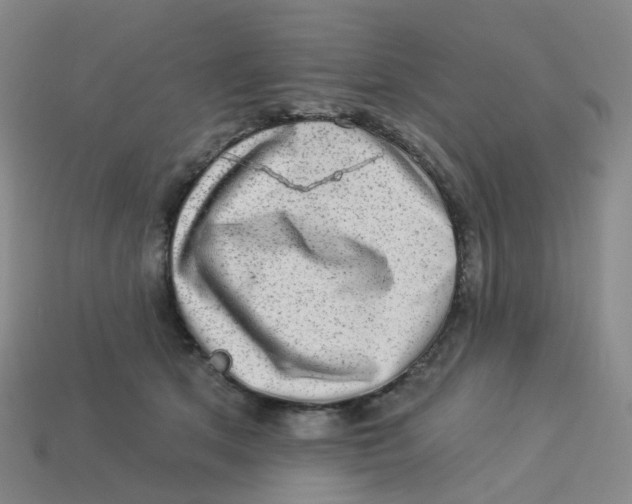 X0000113570513200910161521