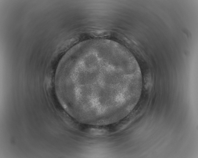 X0000113570515200910161521