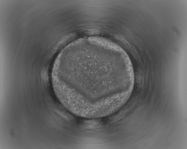 X0000113570516200910161521