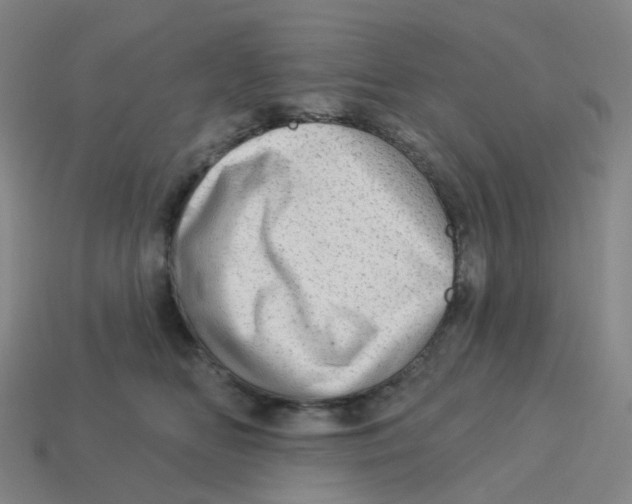 X0000113570518200910161521