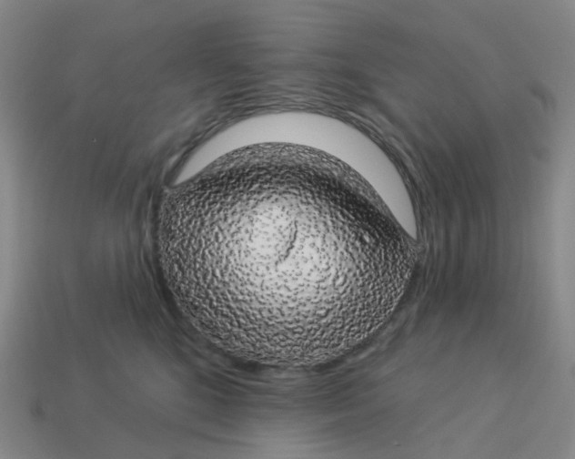 X0000113570520200910161521