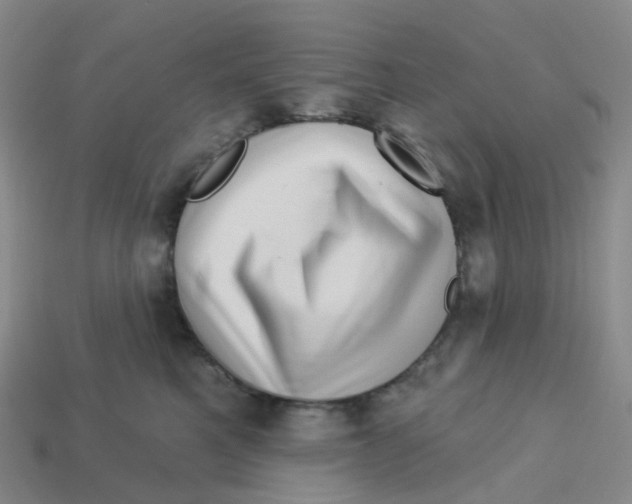 X0000113570521200910161521