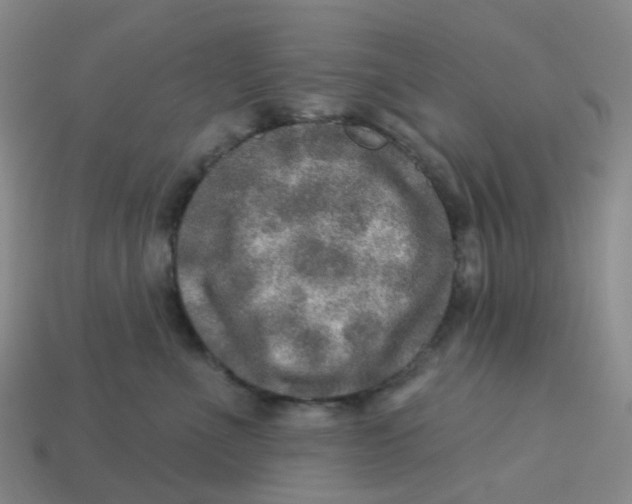 X0000113570523200910161521