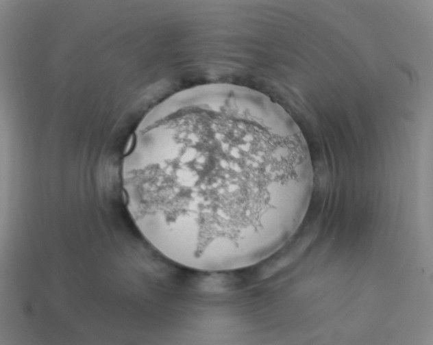 X0000113570527200910161521