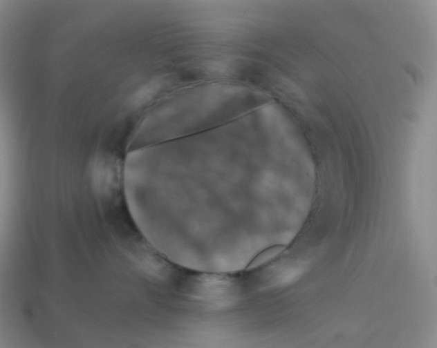 X0000113570528200910161521