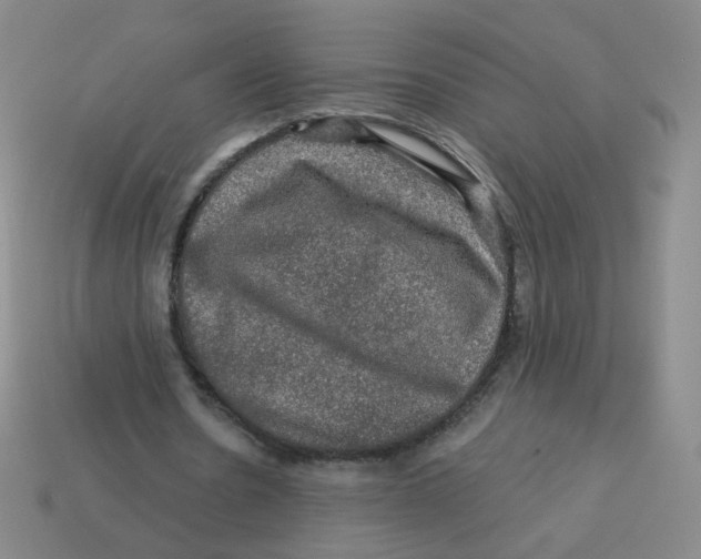 X0000113570530200910161520