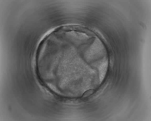 X0000113570532200910161520