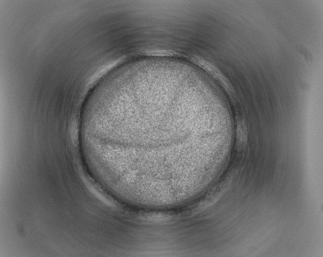 X0000113570533200910161520