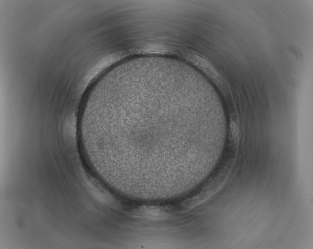 X0000113570534200910161520