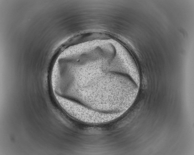 X0000113570535200910161520