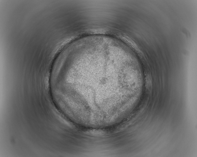 X0000113570537200910161520