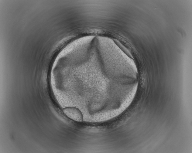 X0000113570538200910161520