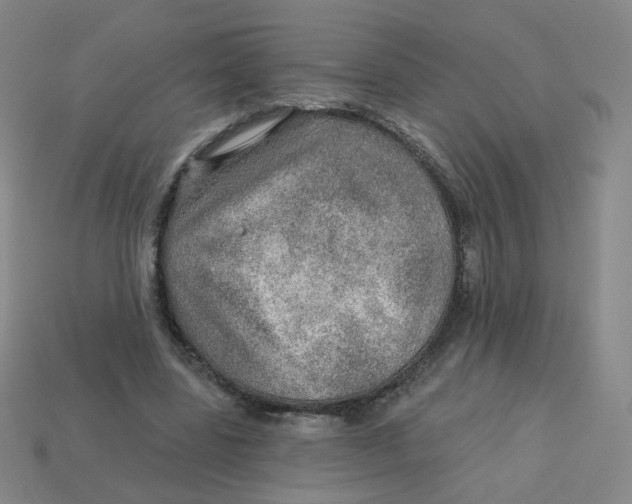 X0000113570539200910161520