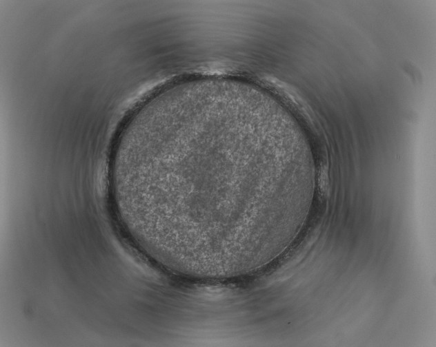 X0000113570540200910161520