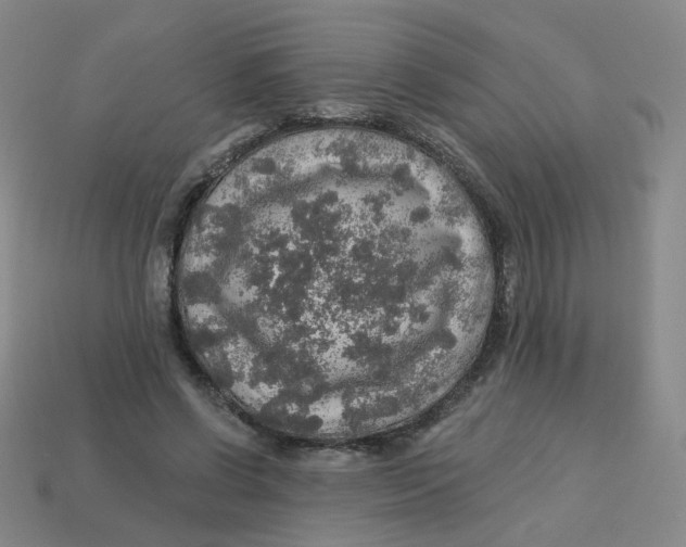 X0000113570542200910161520