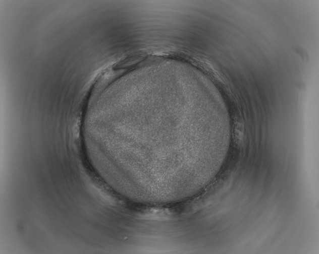 X0000113570543200910161520