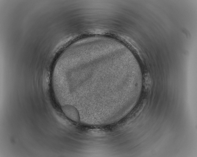 X0000113570544200910161520