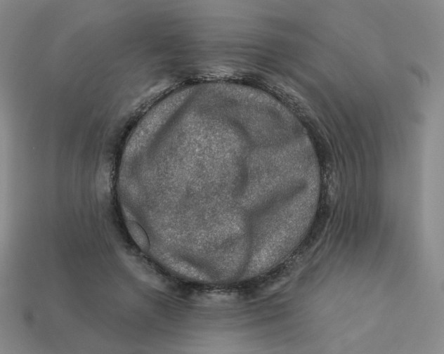 X0000113570546200910161520