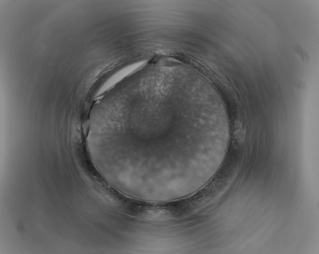 X0000113570547200910161520