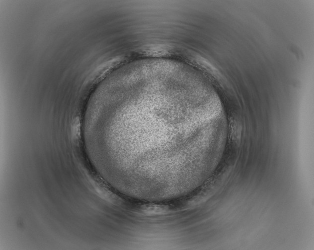 X0000113570549200910161520