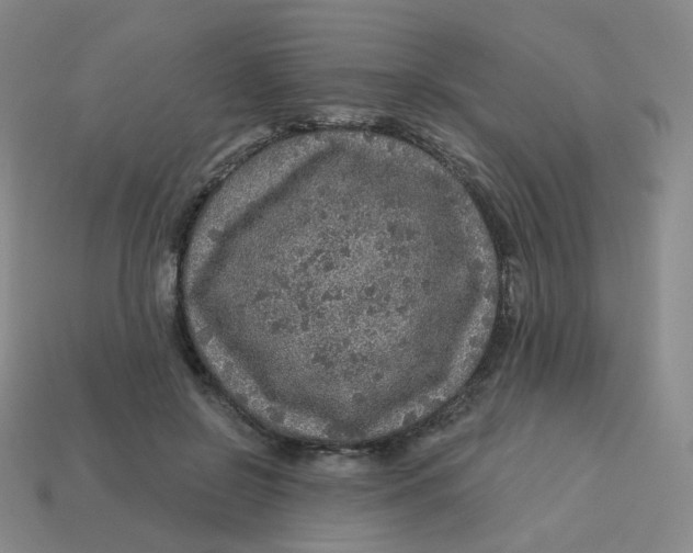 X0000113570550200910161520