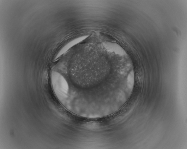 X0000113570551200910161520