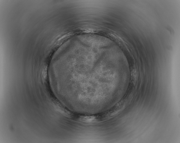 X0000113570554200910161520