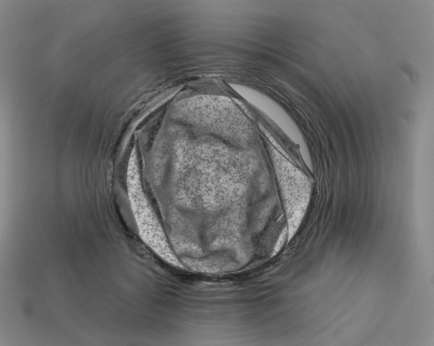 X0000113570556200910161520