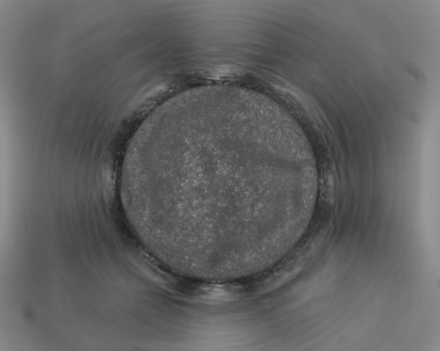 X0000113570558200910161520