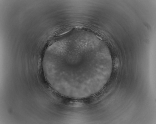 X0000113570559200910161520