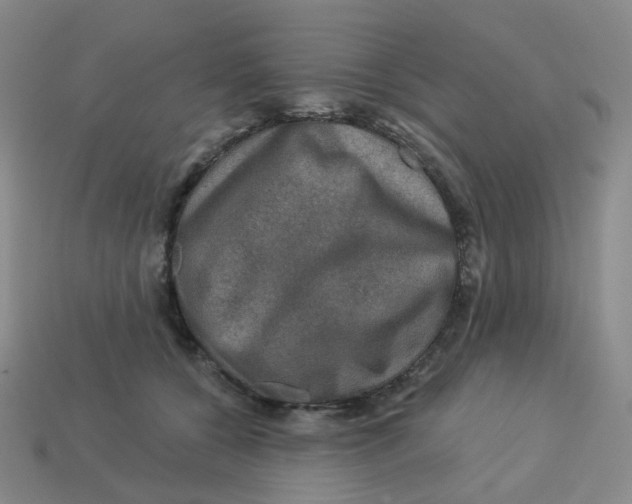 X0000113570560200910161520