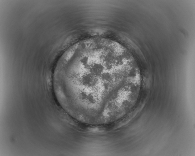 X0000113570561200910161520