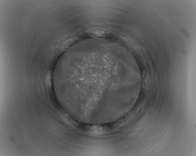 X0000113570562200910161520