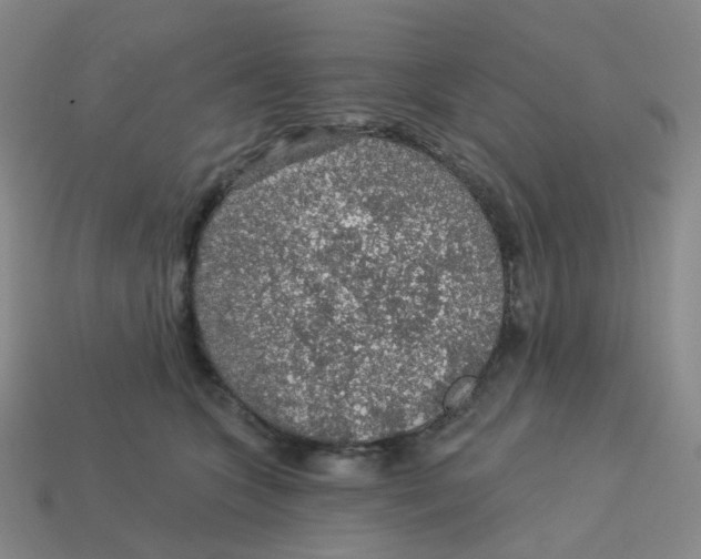 X0000113570563200910161520