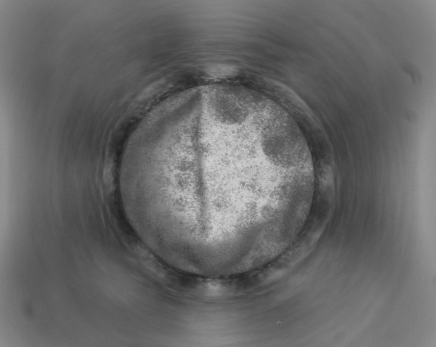 X0000113570565200910161520