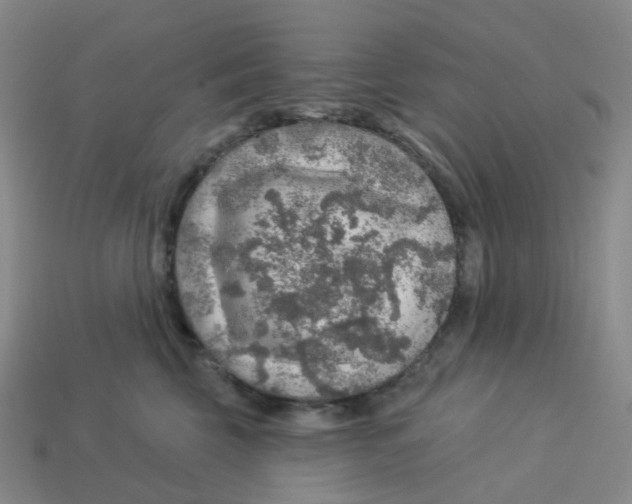 X0000113570569200910161520