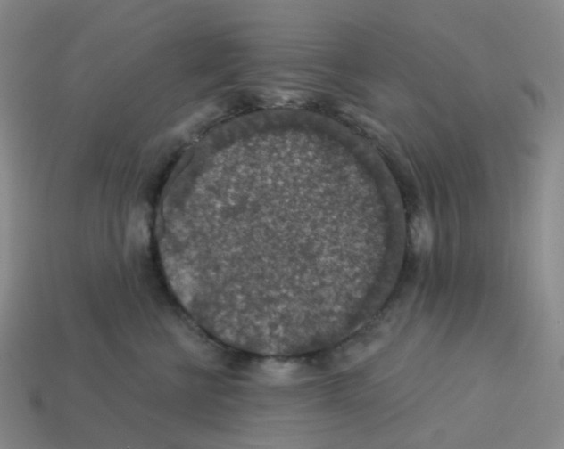 X0000113570570200910161521