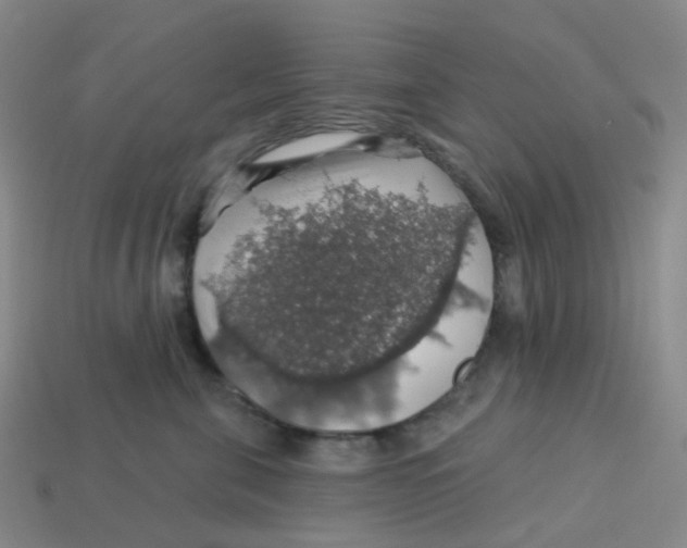 X0000113570571200910161521