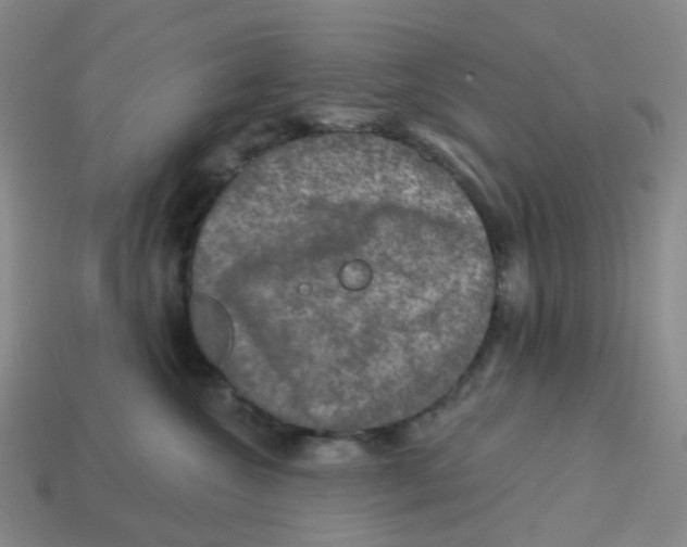 X0000113570572200910161521