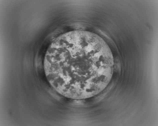 X0000113570573200910161521